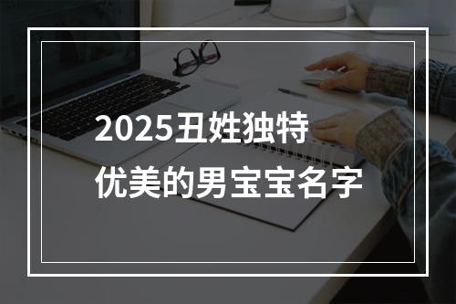 2025丑姓独特优美的男宝宝名字