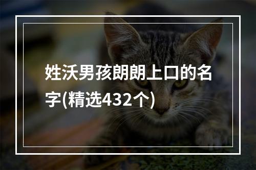 姓沃男孩朗朗上口的名字(精选432个)