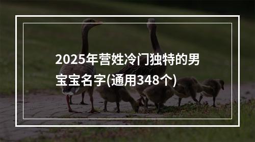 2025年营姓冷门独特的男宝宝名字(通用348个)