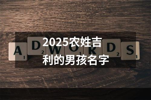 2025农姓吉利的男孩名字