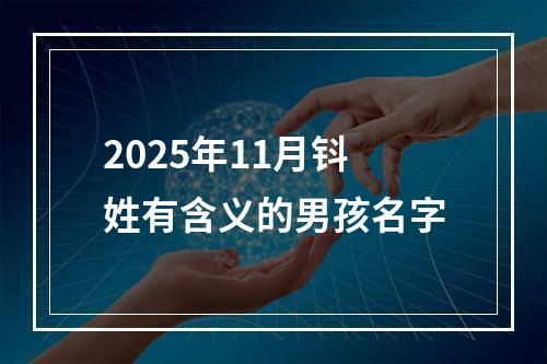 2025年11月钭姓有含义的男孩名字
