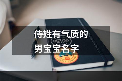 侍姓有气质的男宝宝名字