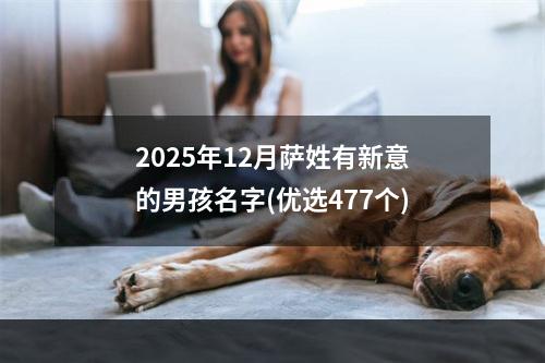 2025年12月萨姓有新意的男孩名字(优选477个)