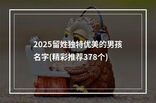 2025留姓独特优美的男孩名字(精彩推荐378个)