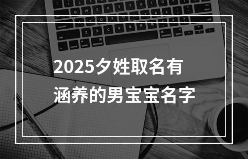 2025夕姓取名有涵养的男宝宝名字