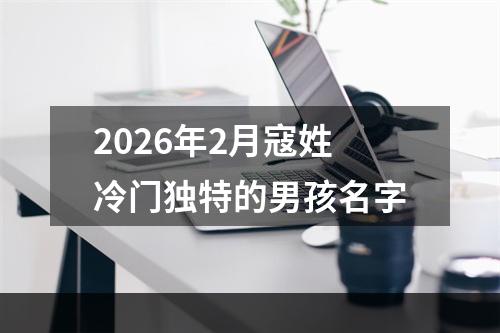 2026年2月寇姓冷门独特的男孩名字