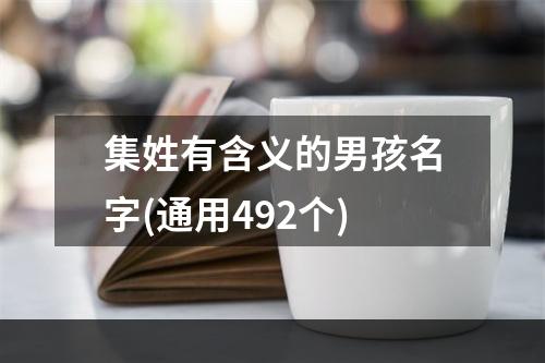 集姓有含义的男孩名字(通用492个)