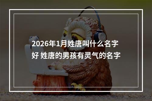 2026年1月姓唐叫什么名字好 姓唐的男孩有灵气的名字