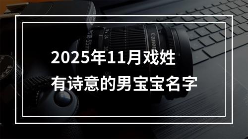 2025年11月戏姓有诗意的男宝宝名字