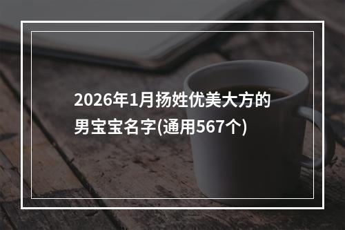 2026年1月扬姓优美大方的男宝宝名字(通用567个)