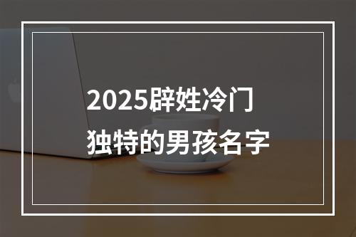 2025辟姓冷门独特的男孩名字