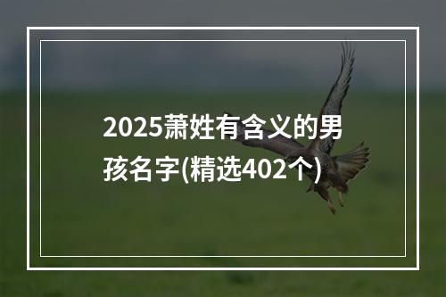 2025萧姓有含义的男孩名字(精选402个)