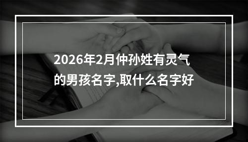 2026年2月仲孙姓有灵气的男孩名字,取什么名字好