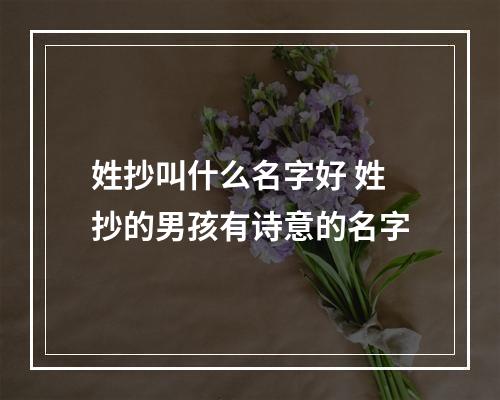 姓抄叫什么名字好 姓抄的男孩有诗意的名字