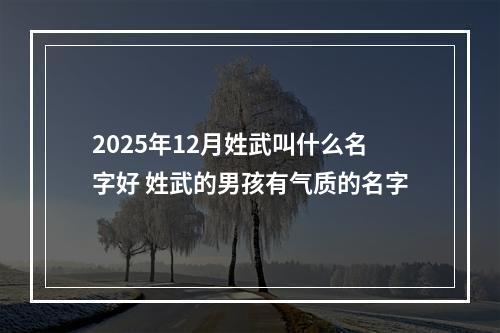 2025年12月姓武叫什么名字好 姓武的男孩有气质的名字