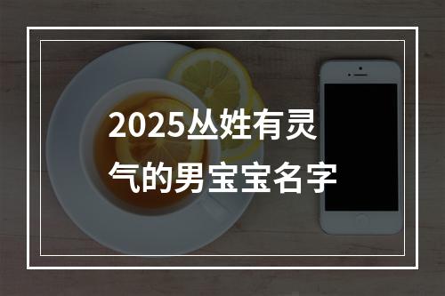 2025丛姓有灵气的男宝宝名字
