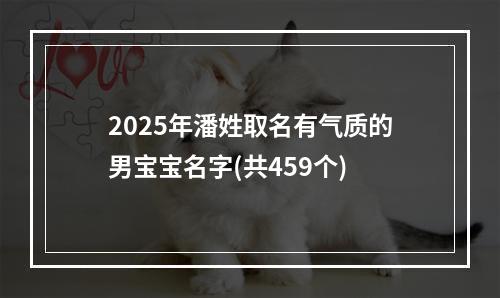 2025年潘姓取名有气质的男宝宝名字(共459个)