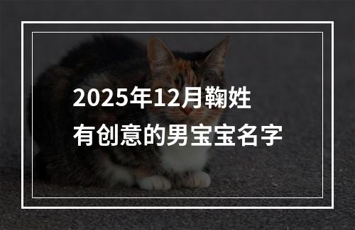 2025年12月鞠姓有创意的男宝宝名字