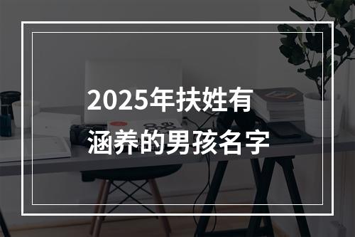 2025年扶姓有涵养的男孩名字