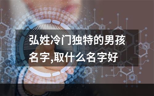 弘姓冷门独特的男孩名字,取什么名字好