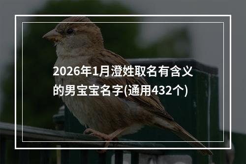 2026年1月澄姓取名有含义的男宝宝名字(通用432个)