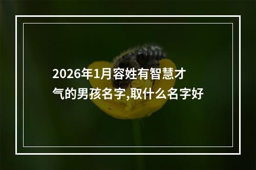 2026年1月容姓有智慧才气的男孩名字,取什么名字好