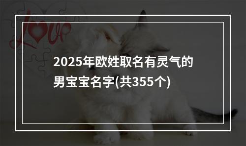 2025年欧姓取名有灵气的男宝宝名字(共355个)
