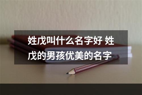 姓戊叫什么名字好 姓戊的男孩优美的名字