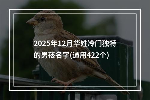 2025年12月华姓冷门独特的男孩名字(通用422个)