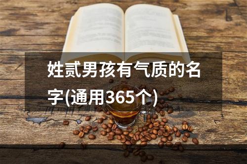 姓贰男孩有气质的名字(通用365个)