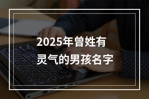 2025年曾姓有灵气的男孩名字