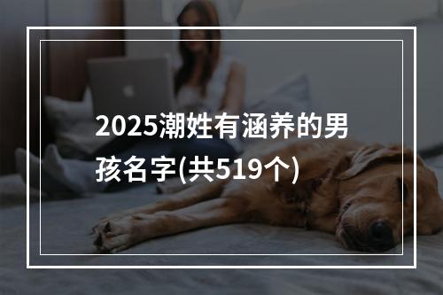 2025潮姓有涵养的男孩名字(共519个)
