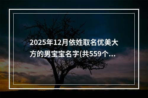 2025年12月依姓取名优美大方的男宝宝名字(共559个)