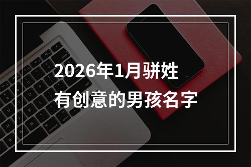 2026年1月骈姓有创意的男孩名字