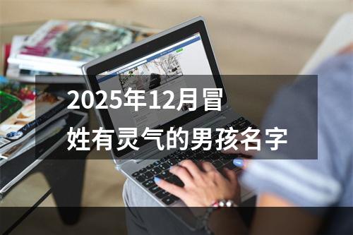 2025年12月冒姓有灵气的男孩名字