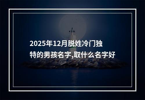2025年12月脱姓冷门独特的男孩名字,取什么名字好