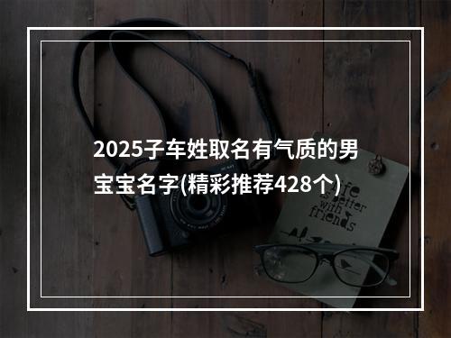 2025子车姓取名有气质的男宝宝名字(精彩推荐428个)