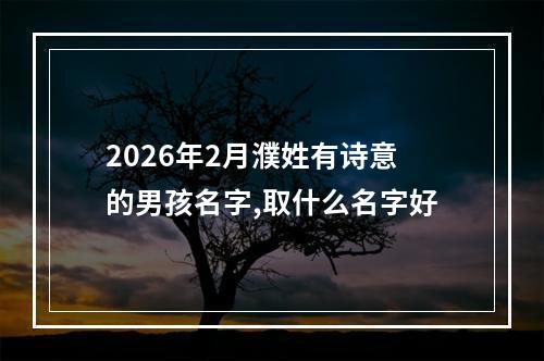 2026年2月濮姓有诗意的男孩名字,取什么名字好