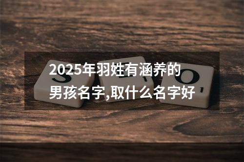 2025年羽姓有涵养的男孩名字,取什么名字好