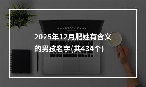 2025年12月肥姓有含义的男孩名字(共434个)