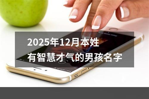 2025年12月本姓有智慧才气的男孩名字