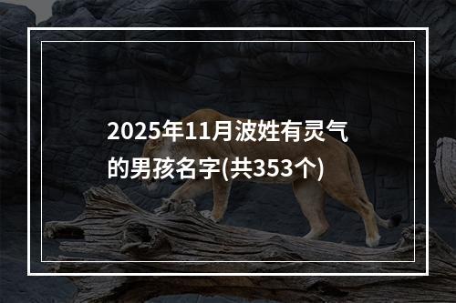 2025年11月波姓有灵气的男孩名字(共353个)