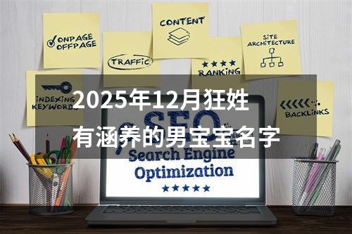 2025年12月狂姓有涵养的男宝宝名字