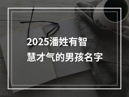 2025潘姓有智慧才气的男孩名字