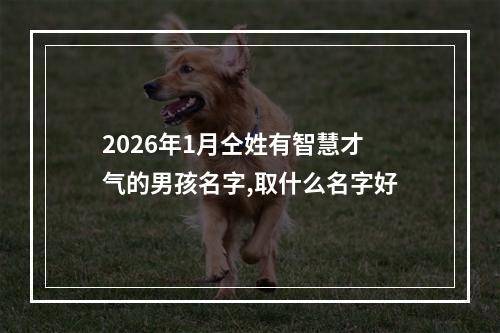 2026年1月仝姓有智慧才气的男孩名字,取什么名字好