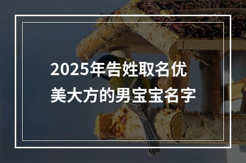 2025年告姓取名优美大方的男宝宝名字