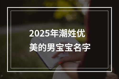 2025年潮姓优美的男宝宝名字