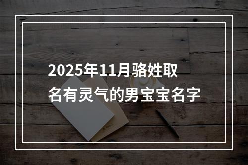 2025年11月骆姓取名有灵气的男宝宝名字