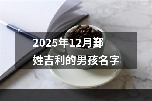 2025年12月鄞姓吉利的男孩名字