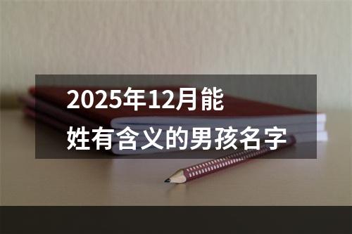 2025年12月能姓有含义的男孩名字
